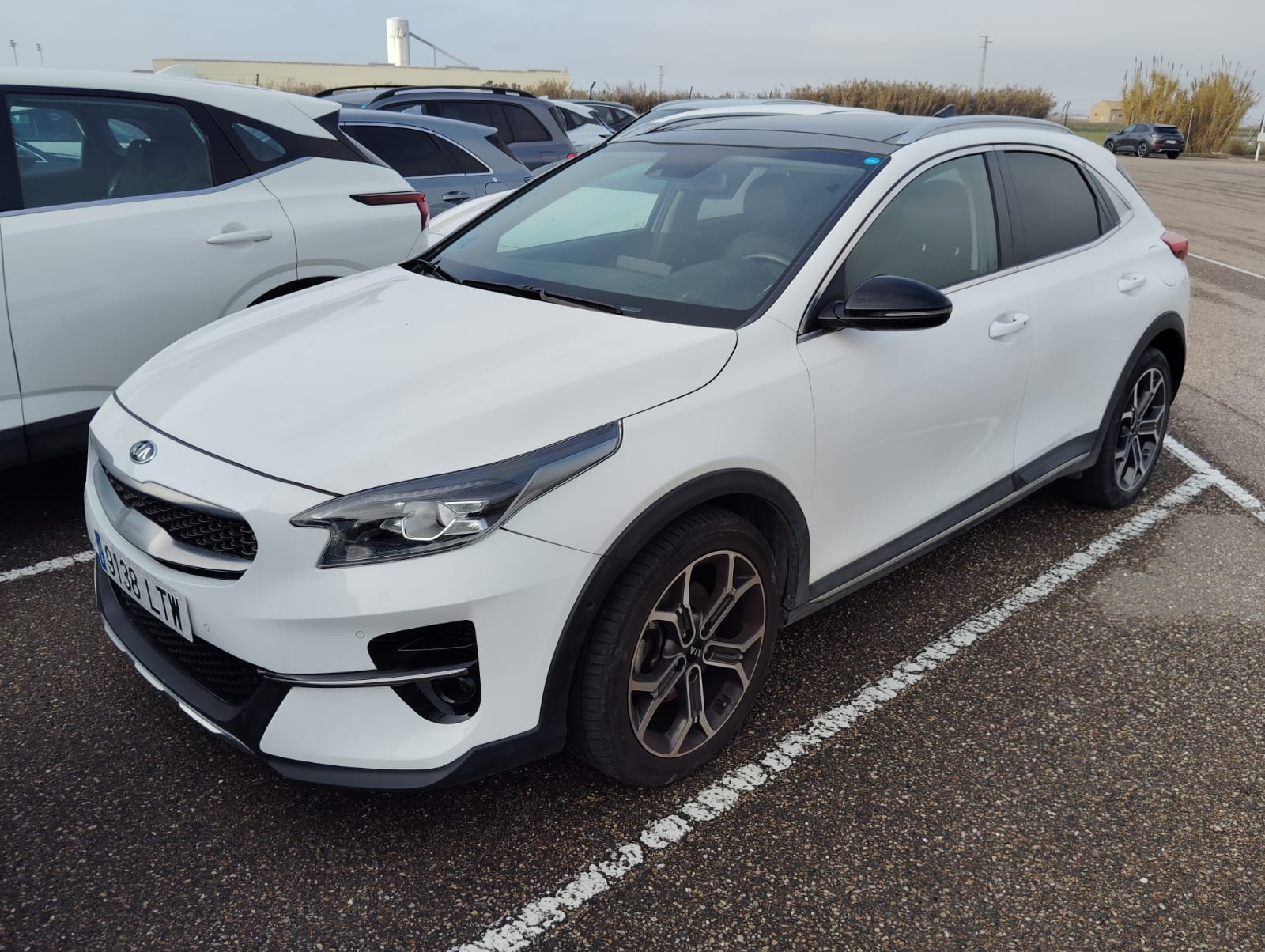 Kia XCeed