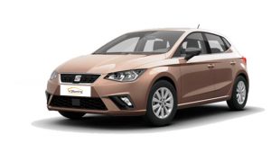 Renting Seat Ibiza